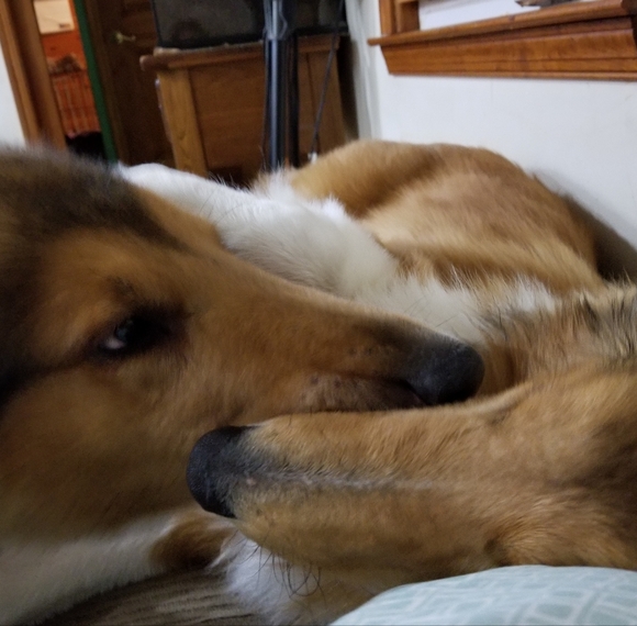 PLSreadBEFOREbuying! - Picture 11 of 16